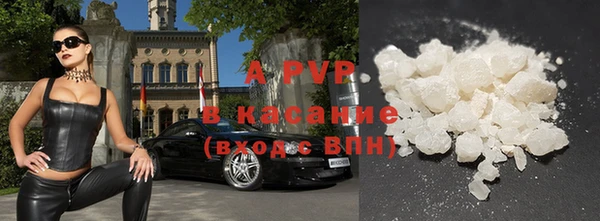гашик Белокуриха