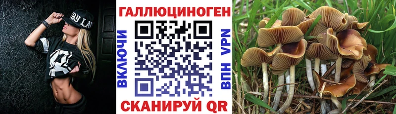 KRAKEN как войти  Буинск  Псилоцибиновые грибы прущие грибы 